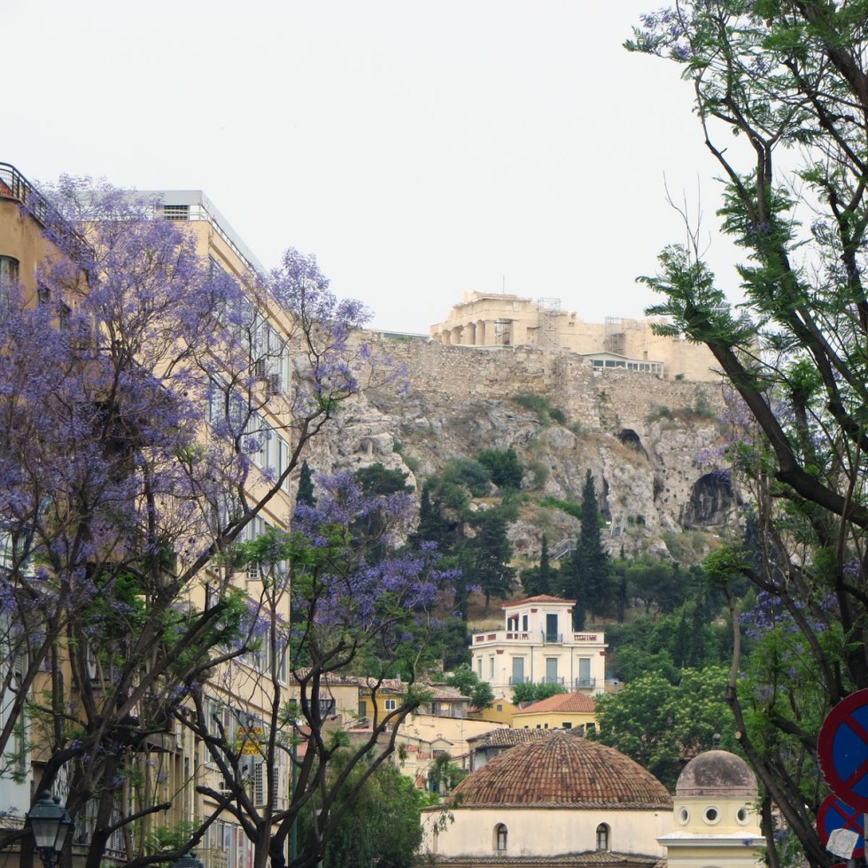 Jacaranda trees and Acropolis on the background